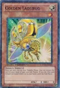 Golden Ladybug DT03-EN053