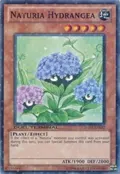 Naturia Hydrangea DT03-EN072