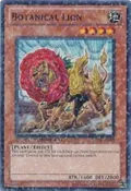 Botanical Lion DT04-EN009