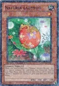 Naturia Ladybug DT04-EN030