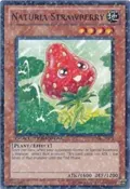 Naturia Strawberry DT04-EN031