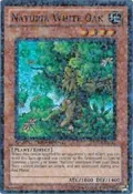 Naturia White Oak DT04-EN081