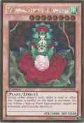 Tytannial, Princess of Camellias PGLD-EN088