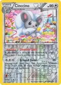 Cinccino #RC19/RC25