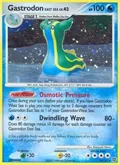 Gastrodon East Sea #8/132