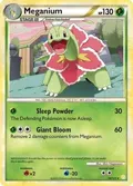 Meganium #26/123