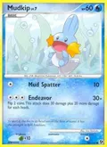 Mudkip #80/106