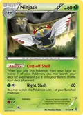 Ninjask #11/124
