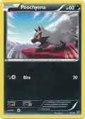 Poochyena #16/39