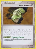 Root Fossil #139/146