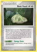 Root Fossil #93/110