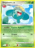 Skiploom #65/132