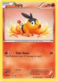 Tepig (16) #16/114