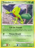 Treecko #79/100