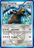 Ursaring (Team Plasma) #76/101
