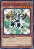 Terratiger, the Empowered Warrior YS14-EN014