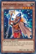 Amazoness Sage YS14-ENA06