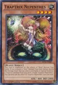 Traptrix Nepenthes MP14-EN087