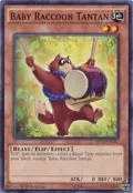 Baby Raccoon Tantan MP14-EN137