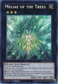 Meliae of the Trees MP14-EN165