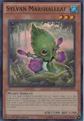 Sylvan Marshalleaf MP14-EN198