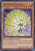 Bujingi Peacock MP14-EN208