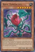 Rose Tentacles LC5D-EN088