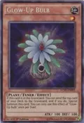 Glow-Up Bulb LC5D-EN092