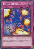 Blossom Bombardment LC5D-EN108