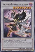 Blackwing - Silverwind the Ascendant LC5D-EN134