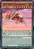 Qliphort Cephalopod (SE) SECE-ENS04