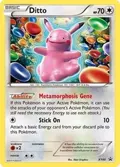 Ditto #XY40
