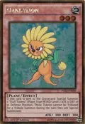 Dandylion PGL2-EN030