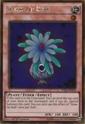 Glow-Up Bulb PGL2-EN033