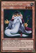 Mathematician PGL2-EN039