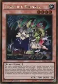 Traptrix Dionaea PGL2-EN041