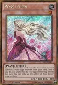 Rose Lover PGL2-EN003