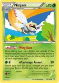 Ninjask #10/108