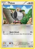 Pidove (#14) #14/30